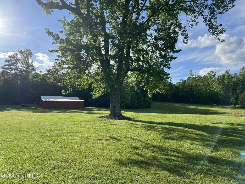 Picture 36