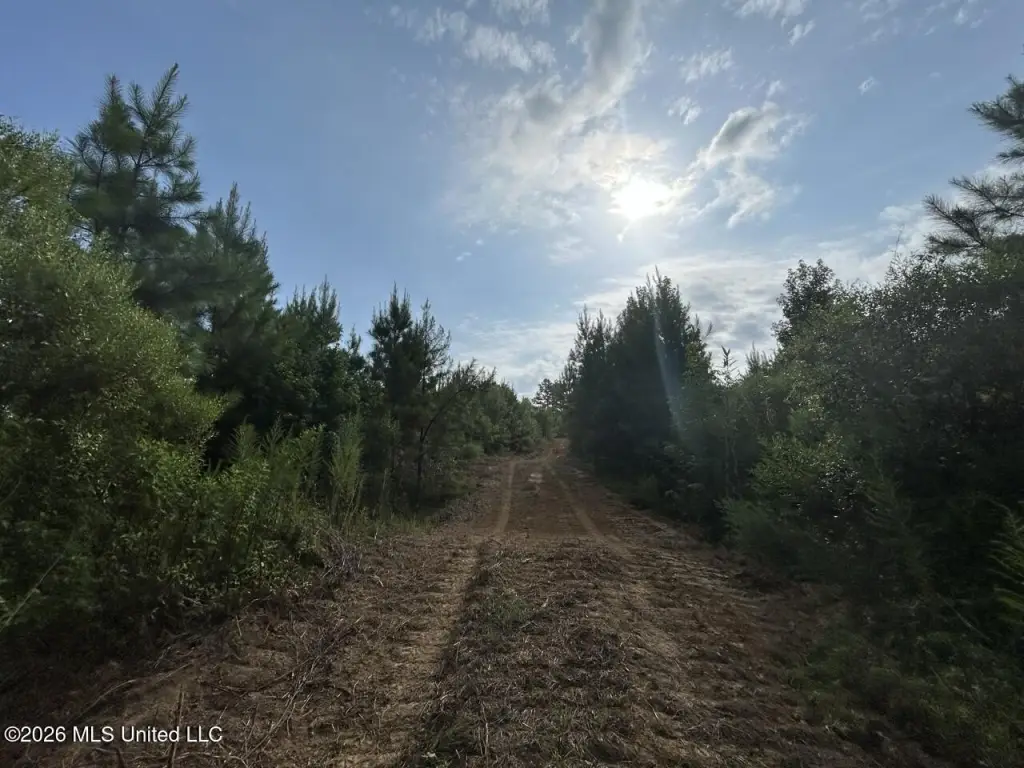 Picture 30