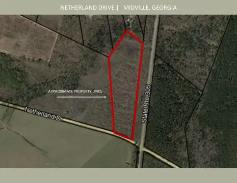 Burke County 10-Acre Land Tract