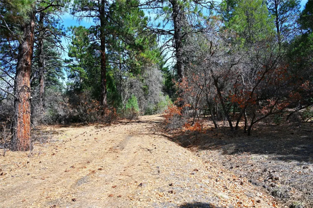 Picture 28