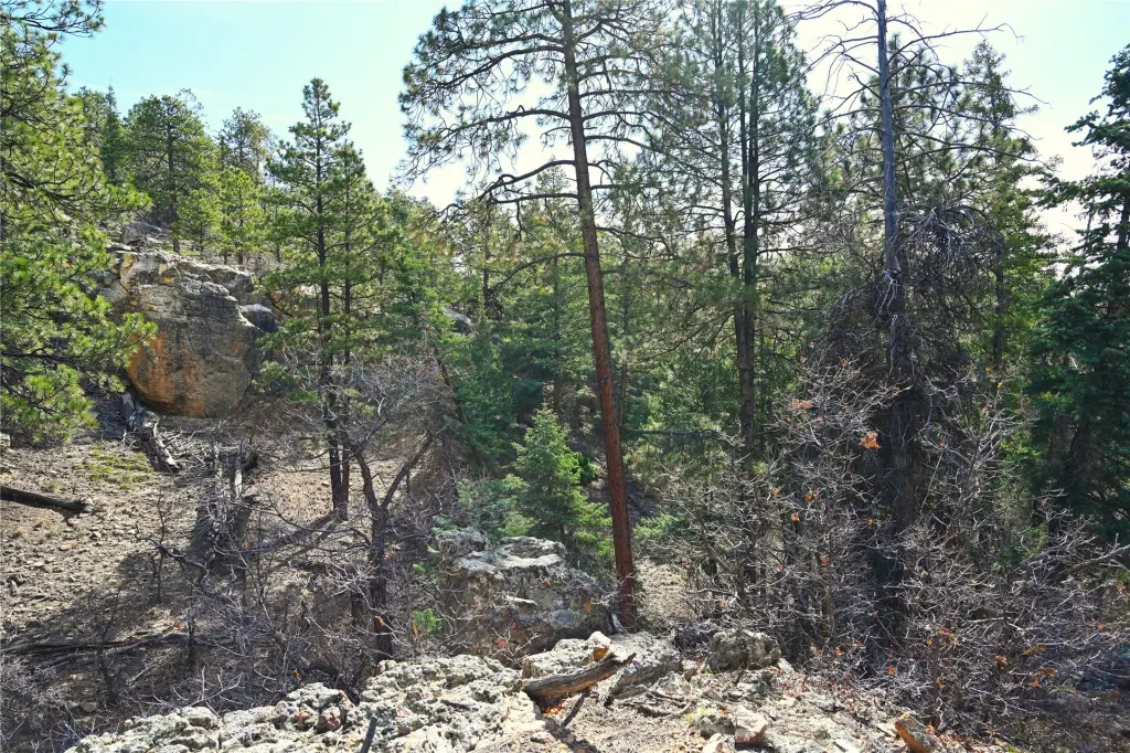 Picture 14