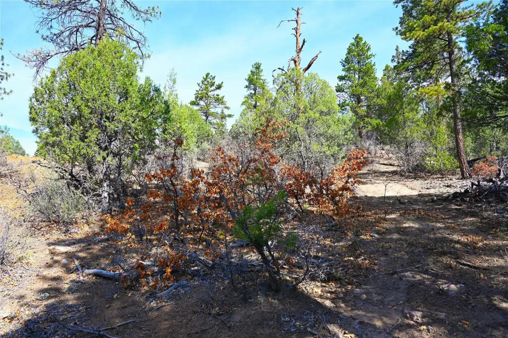Picture 11