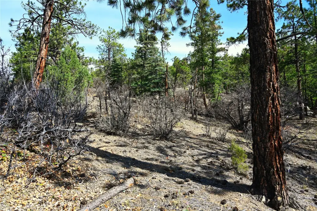 Picture 19