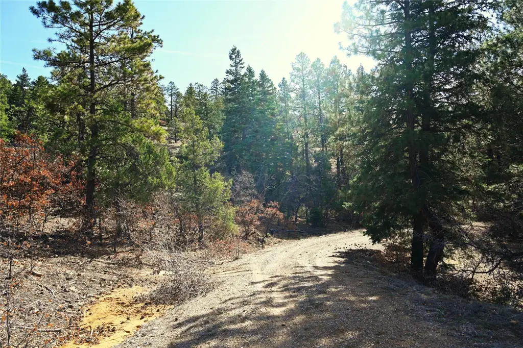 Picture 9