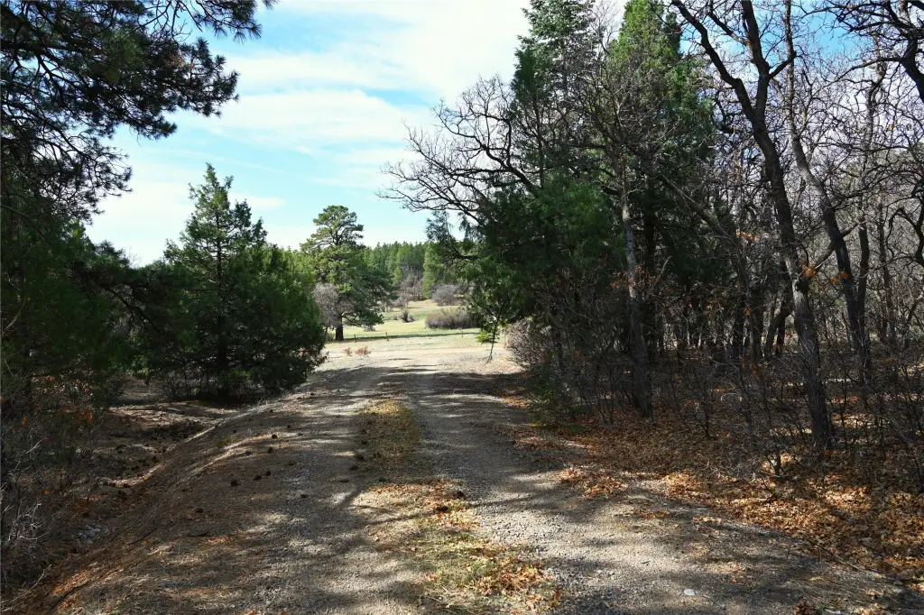 Picture 29