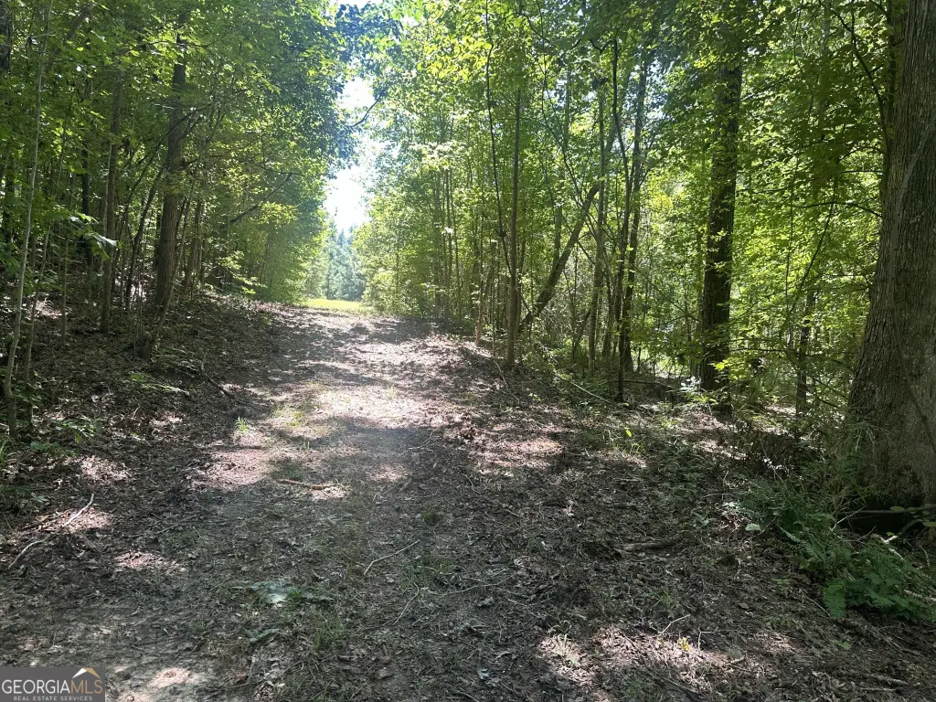 Picture 23