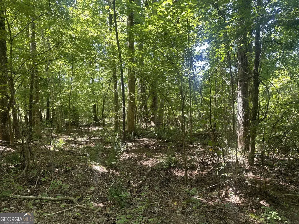 Picture 24
