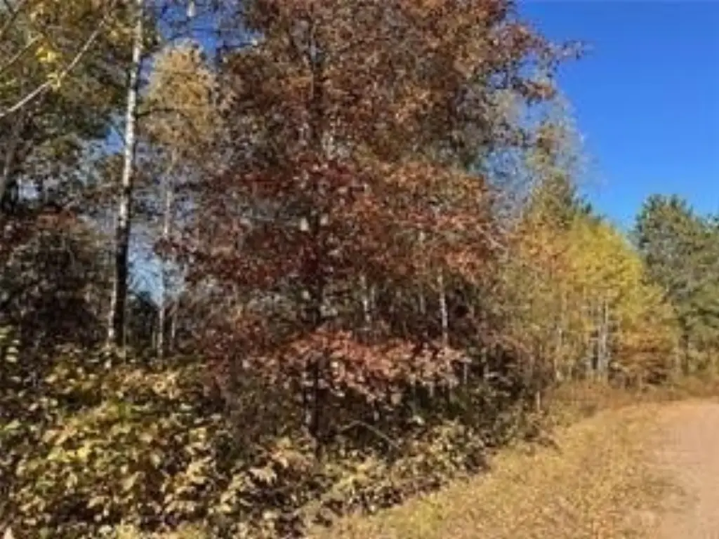 Picture 12