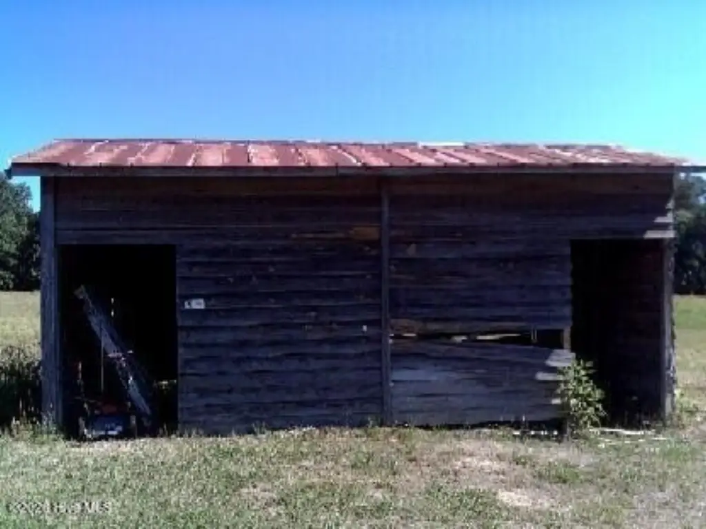 Picture 7