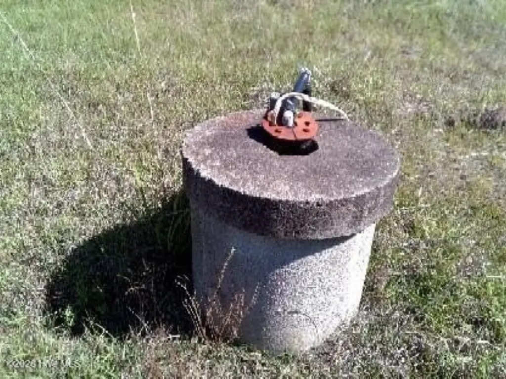 Picture 8
