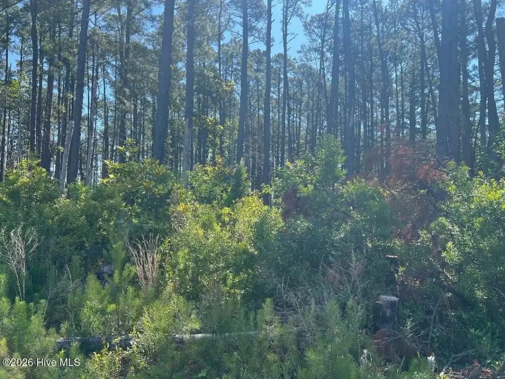 Picture 4
