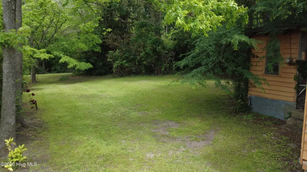 Picture 7
