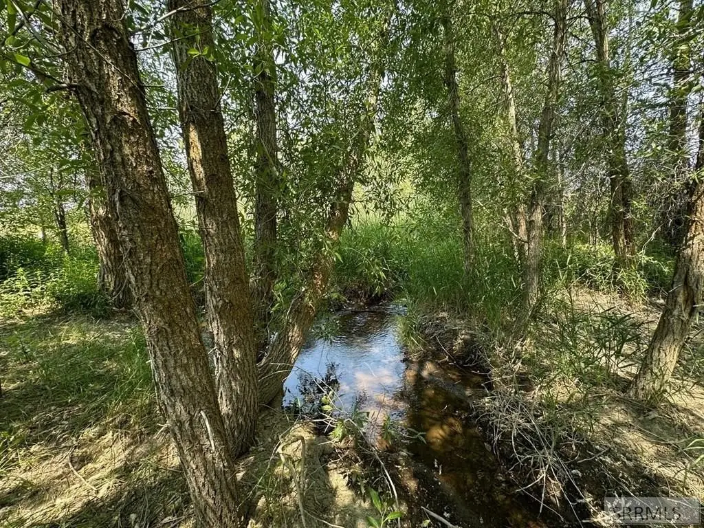 Picture 9