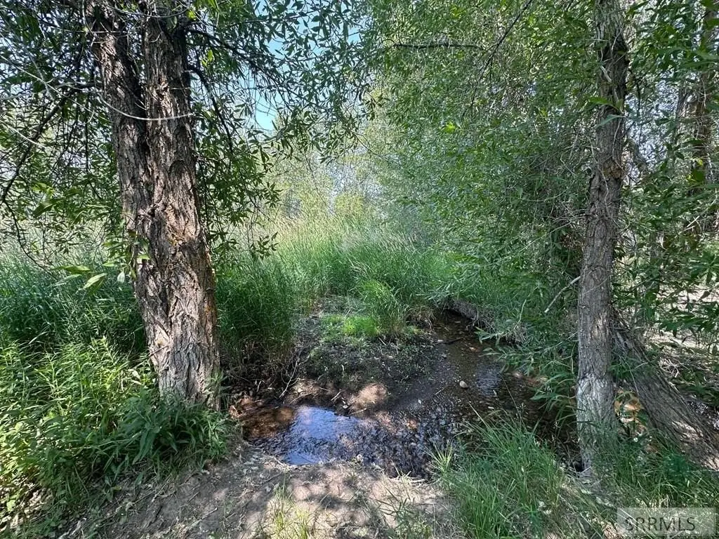 Picture 10