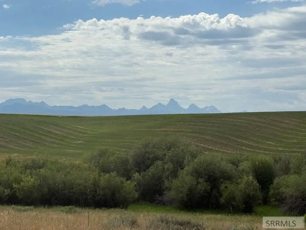 Picture 11