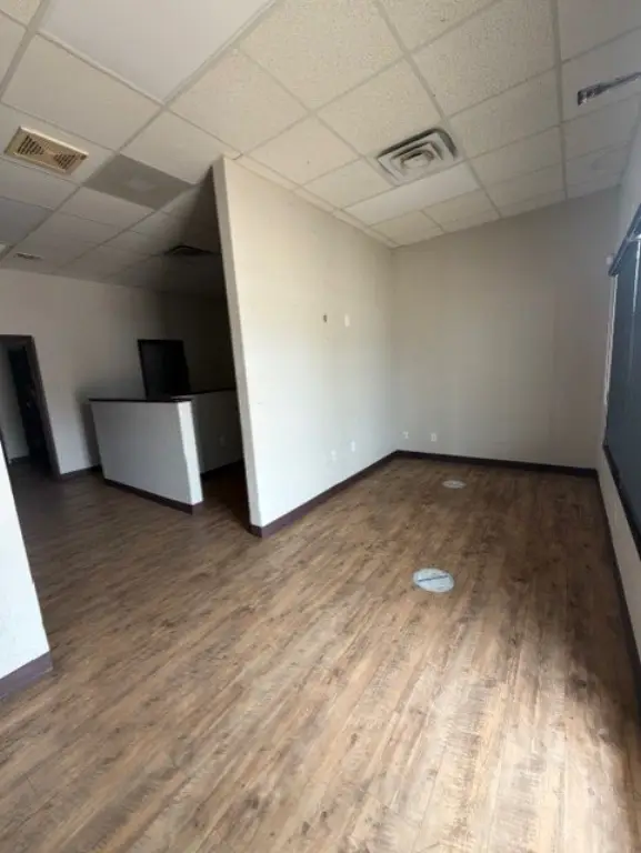 Picture 5