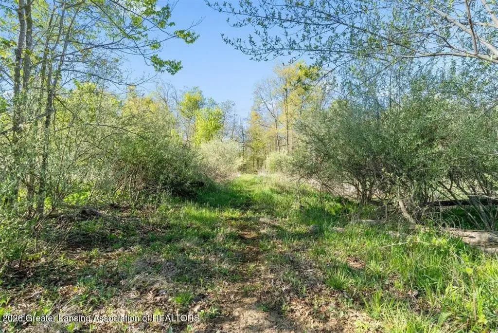 Picture 18