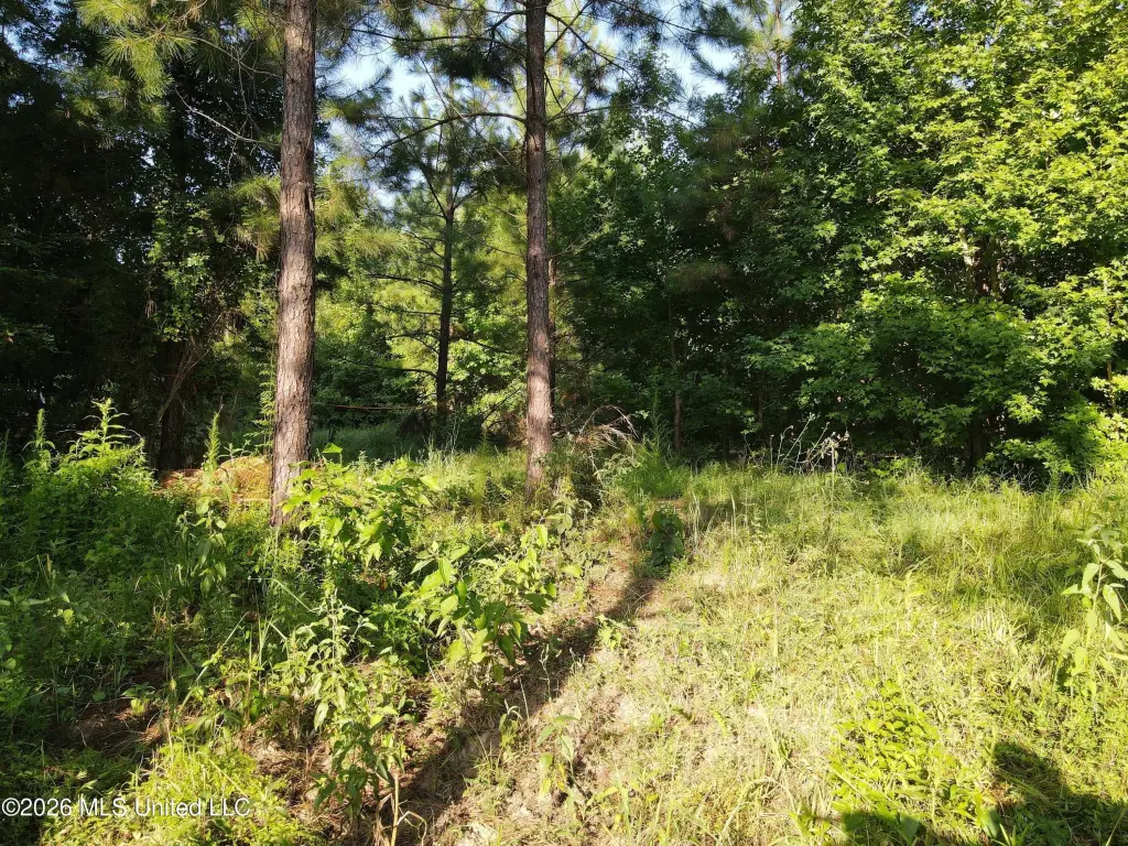Picture 36
