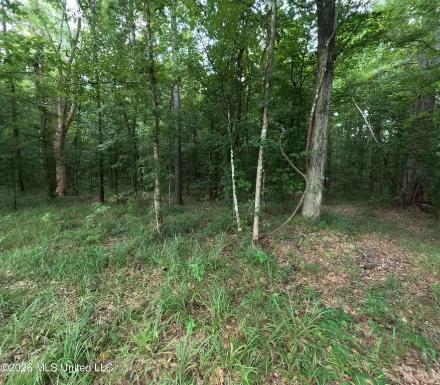 Picture 38