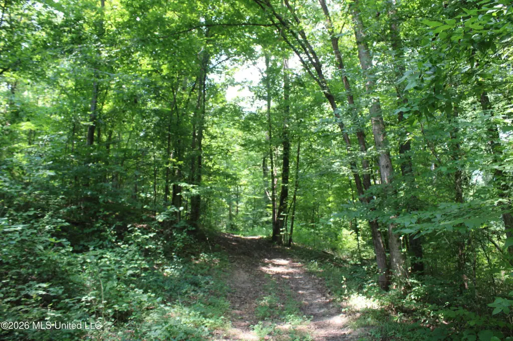 Picture 31