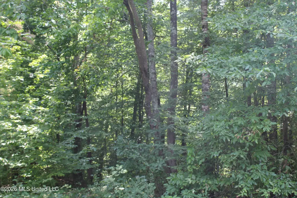 Picture 25