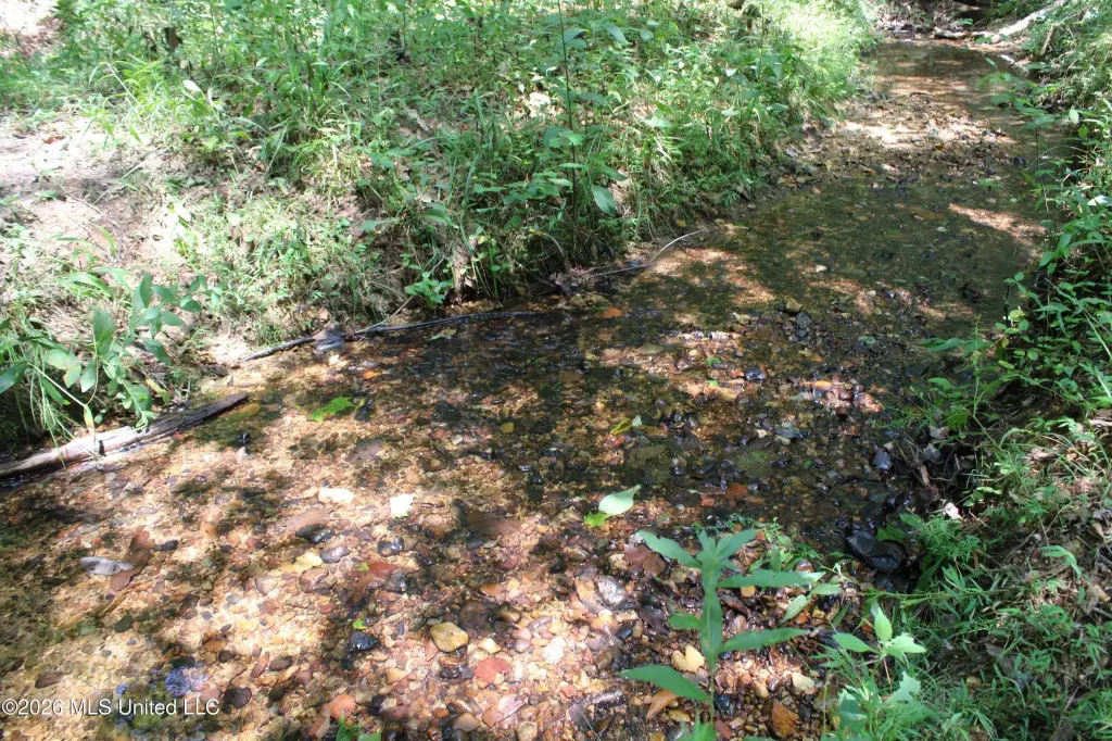 Picture 51