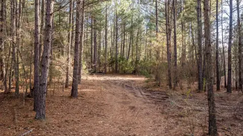 Unrestricted Acreage Near Lake O' The Pines