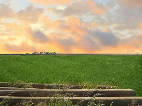 Half-Acre Lot in Grace Meadows