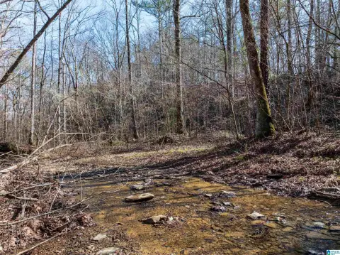Wooded Land with Creek