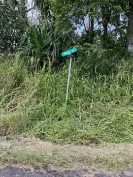 Land in Hawaiian Shores