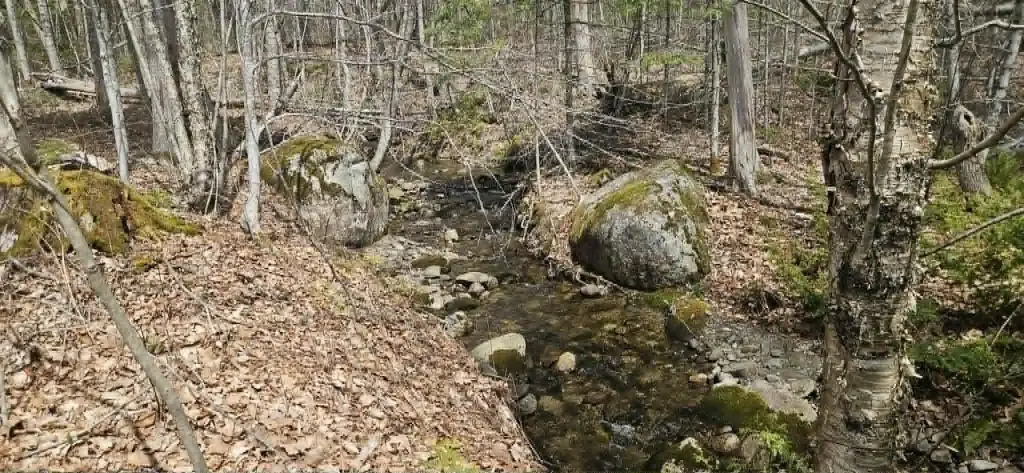 Picture 24