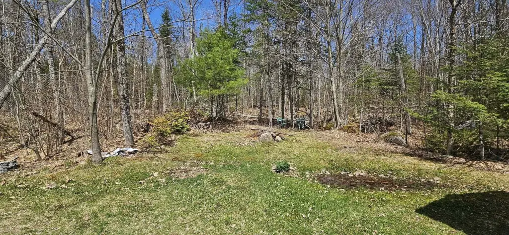 Picture 16