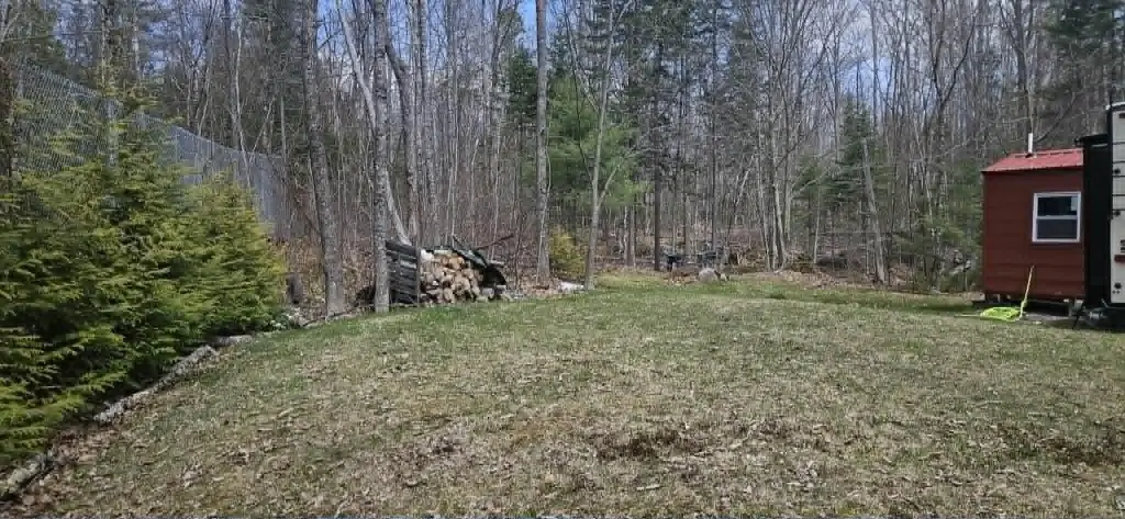 Picture 21