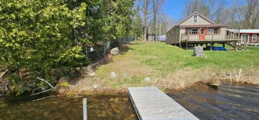 Picture 5