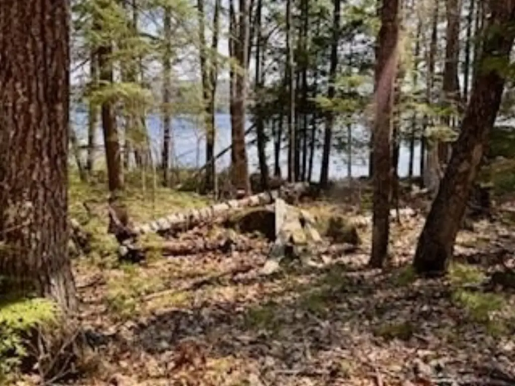 Picture 10