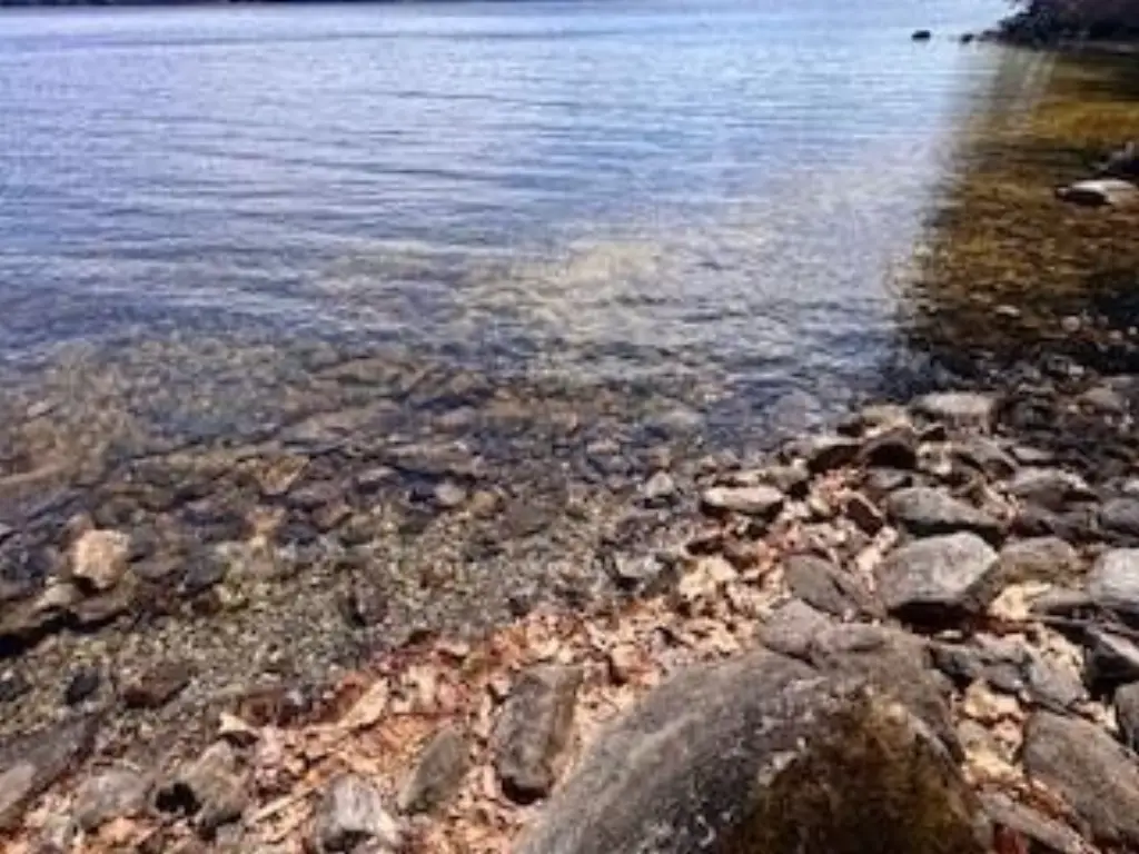 Picture 4