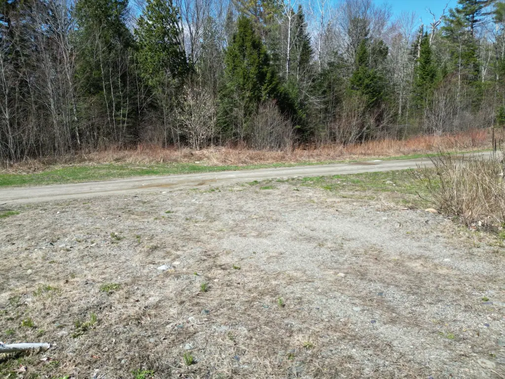 Picture 12