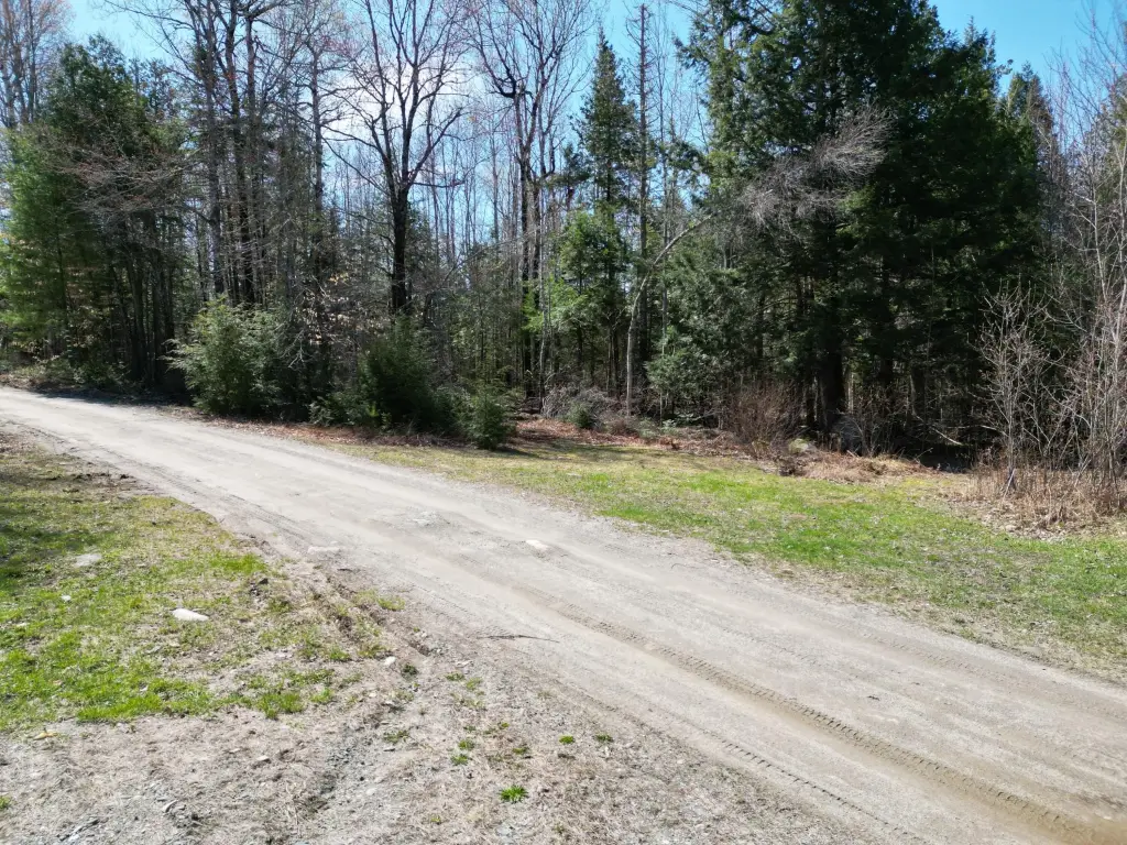 Picture 13