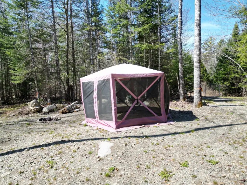 Picture 6
