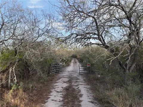 Expansive South Texas Recreational Land