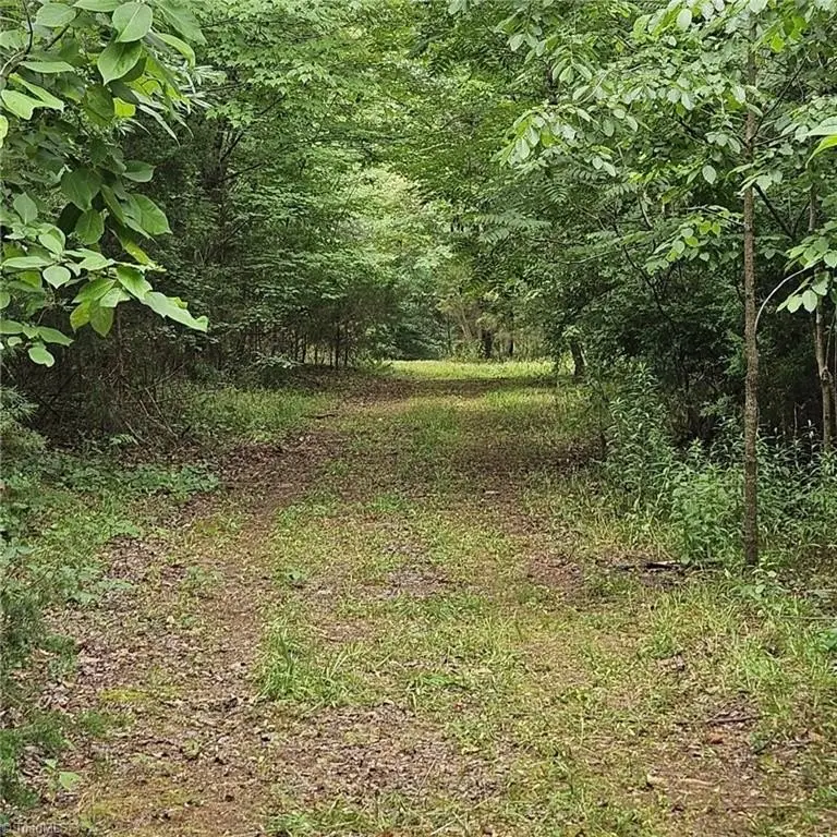 Picture 37