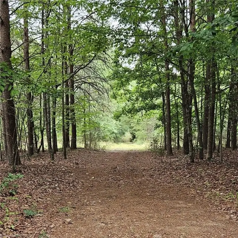 Picture 36