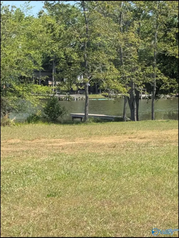 Picture 19