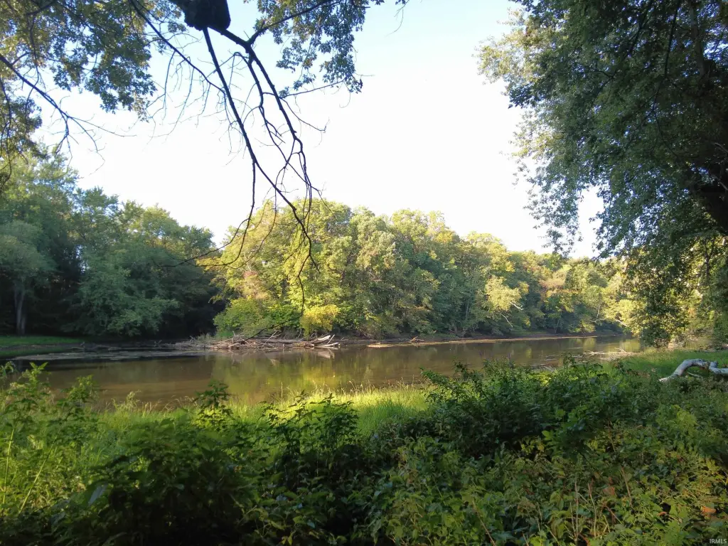 Picture 5