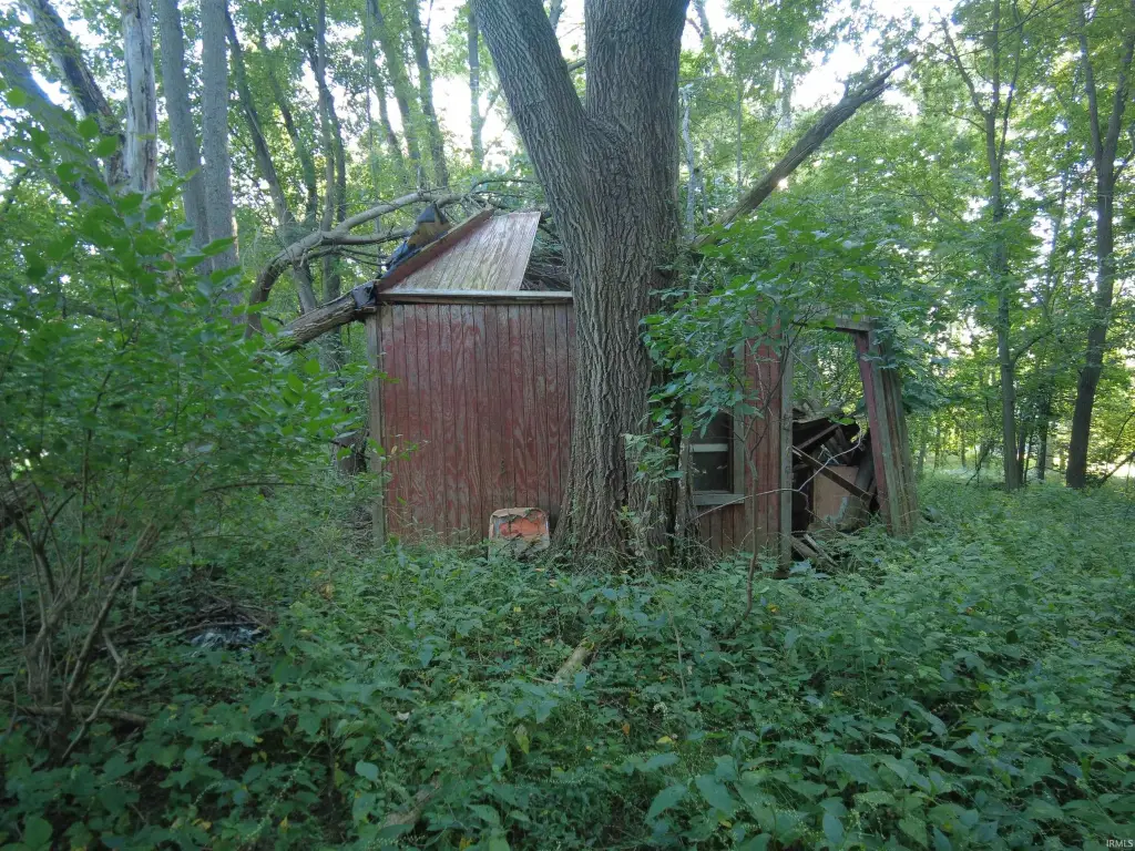 Picture 8