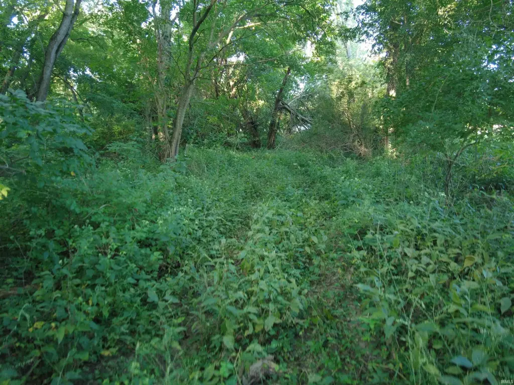 Picture 2