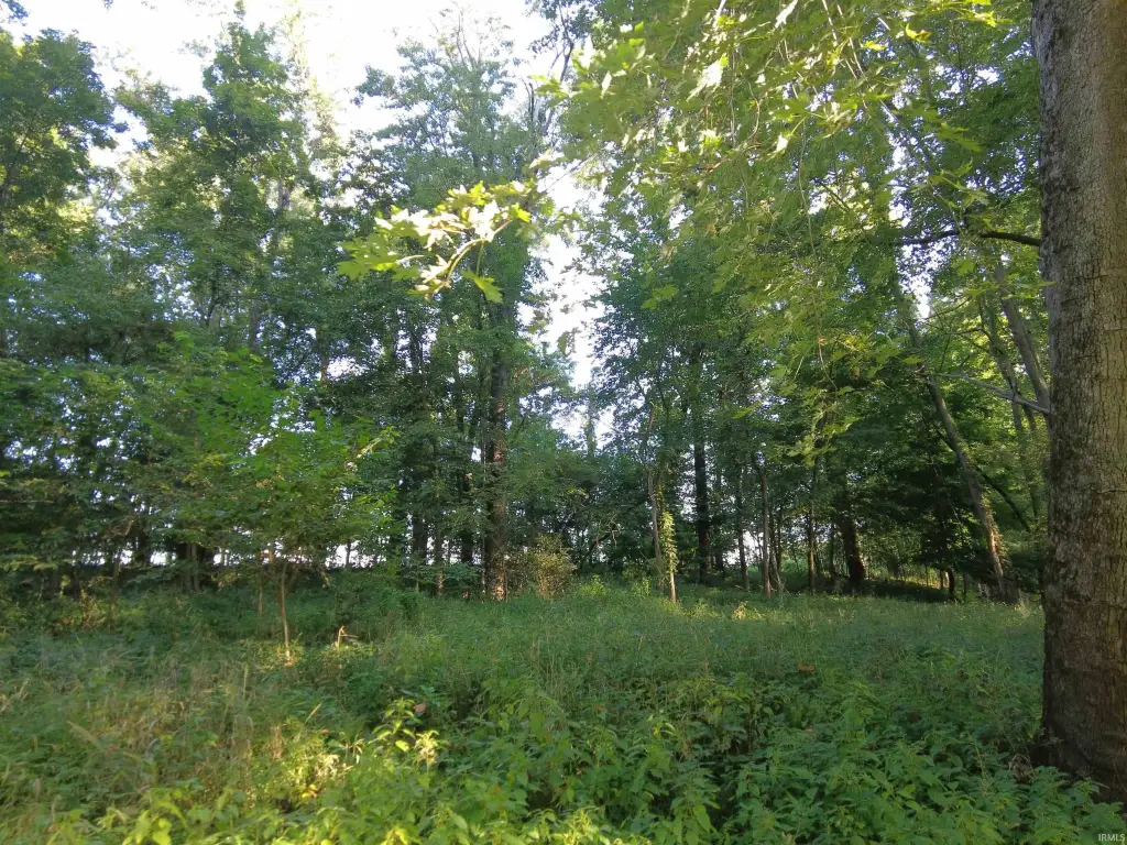 Picture 6