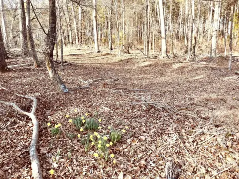 Recreational Land in Greenwood, SC