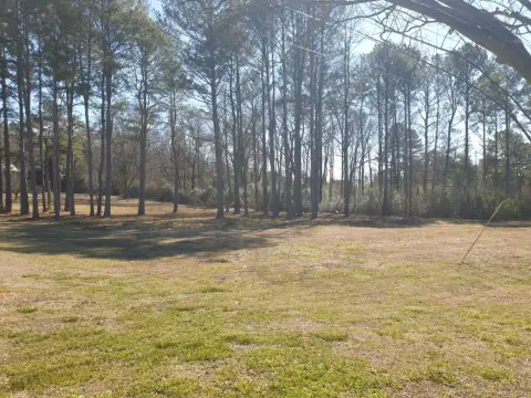 Alabaster Commercial Land Auction