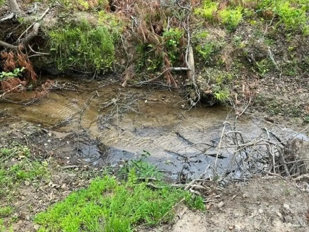 Picture 19